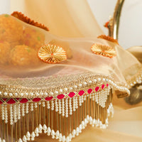 Bahaar Shagun Thaal with Cover - Image 2