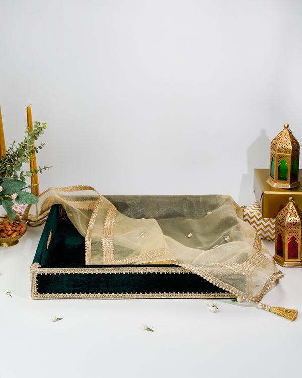 Baagh Velvet Tray with Cover (Large)